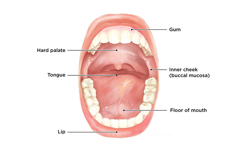 মুখের ক্যান্সার হওয়ার কারণ, লক্ষণ ও এর চিকিৎসা সম্পর্কে কতটুকু জানেন?