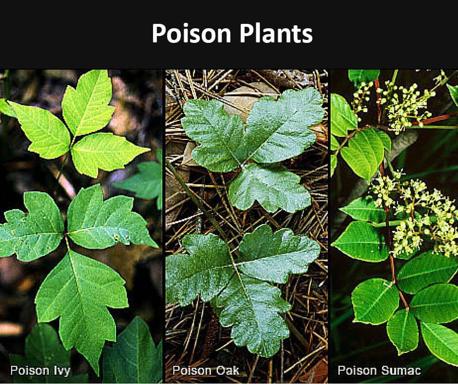 ত্বকের ৪ ধরনের অ্যালার্জি | লক্ষণ ও প্রতিকারসমূহ কী কী?