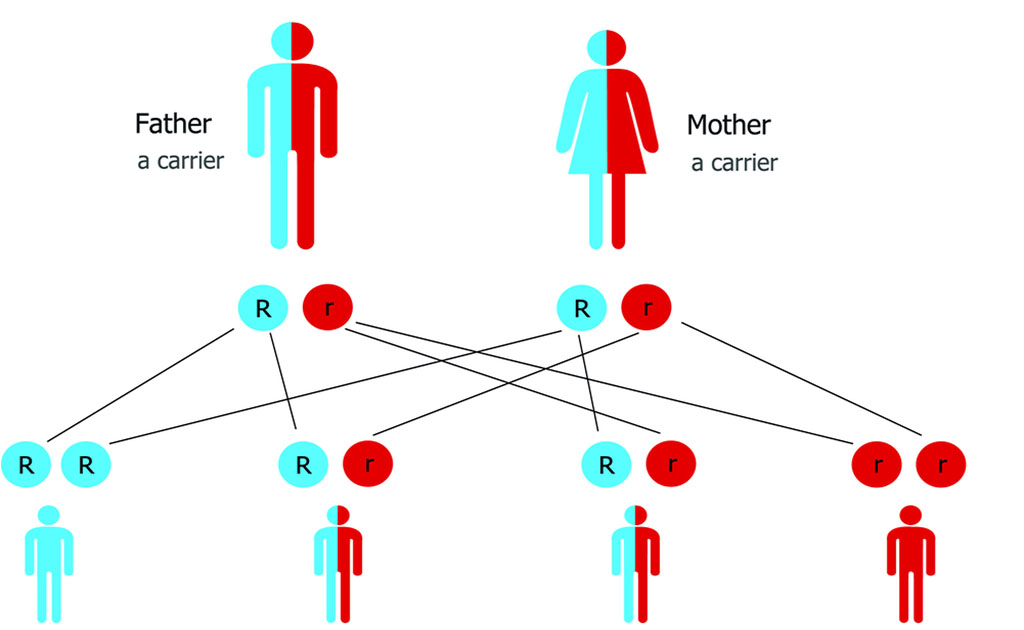 থ্যালাসেমিয়া প্রতিরোধে বিয়ের আগে হবু দম্পতির টেস্ট করানো কতটা জরুরি?
