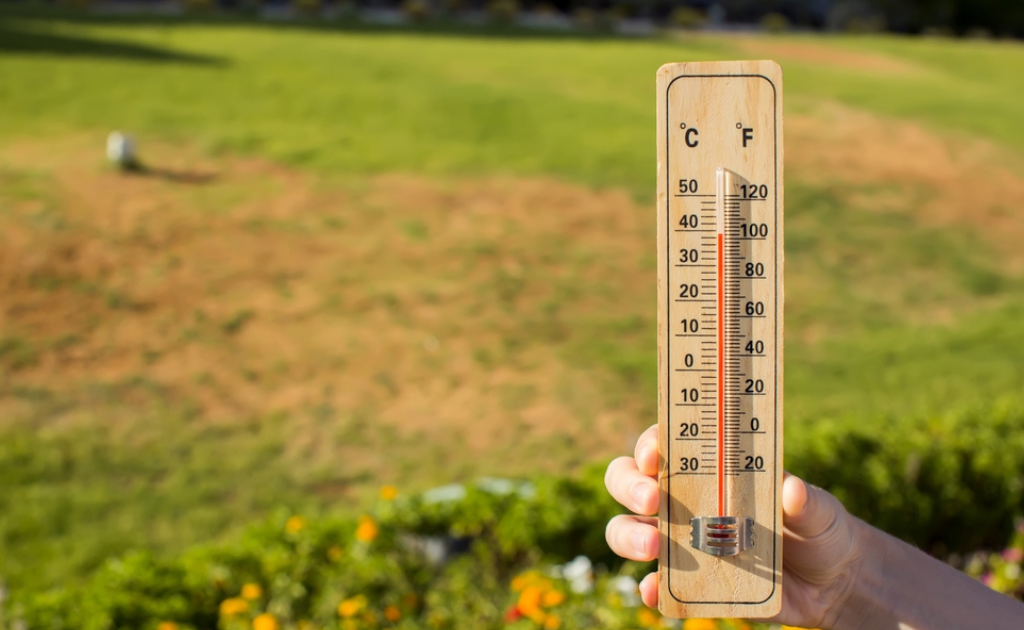 অতিরিক্ত গরমে সুস্থ থাকতে এড়িয়ে চলুন এই ভুলগুলো