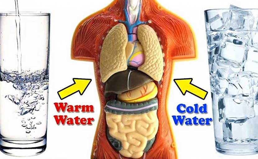 ঠান্ডা পানি পান করার ৩টি বিষয় সম্পর্কে আপনি কতটুকু অবগত?